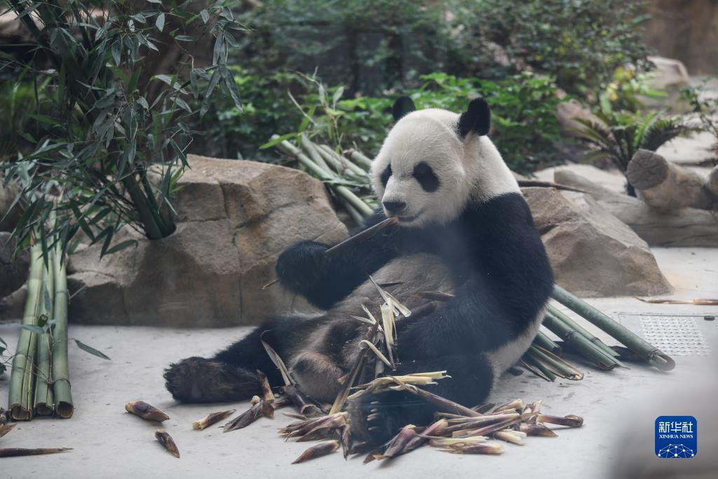瞬娱网络游戏